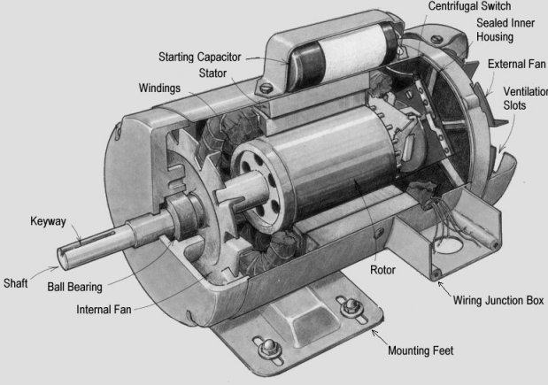 Typical induction motor anatomy