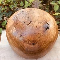 Black cherry burl, live edge Bottom