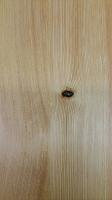 closeup of panel cvgDougFir w/Tung oil