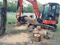 cutting logs