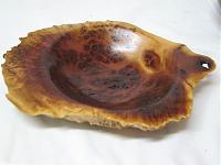 Red Mallee Burl 1