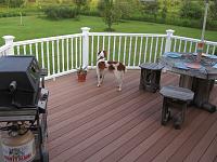 Back Deck 003